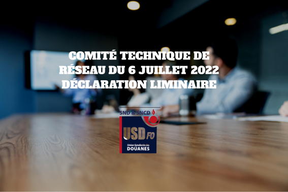 compte rendu du 6 juillet 2022